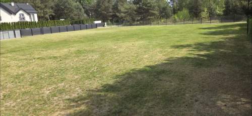 Wynajmę działkę - plac 1600/3200m2, Sulejówek trasa Terespol