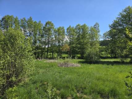 Działka budowlana na sprzedaż, 2809 m2, Sosnówka