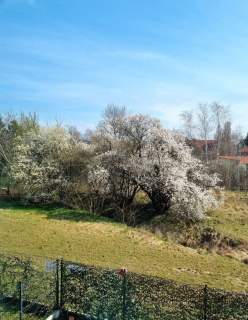 Dom na sprzedaż, 172 m2, Warszawa