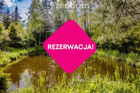 Dom z dużą działką blisko Ełku