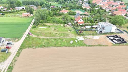 Dziaki przy stadninie koni