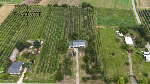 Na sprzedaż działka 0,9 ha z domem 280 m Świdno