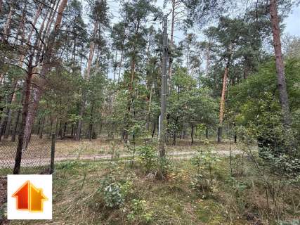Piękna działka letniskowa nieopodal Liwca