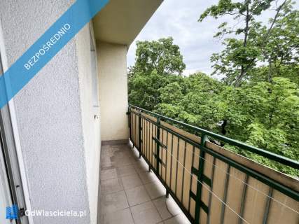 Sołacz 3 pokoje spokojna okolica