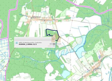 Działka powierzchni 19,64 ha w Miłogostowicach.