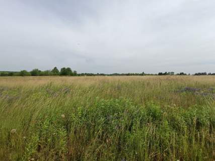 Sielskie widoki Spokojna Okolica Słoneczna