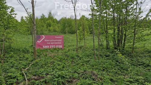 Malownicza działka 3026 m   las i jezioro