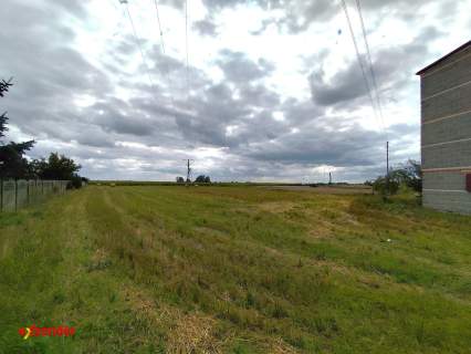 Dom do wykończenia działka 5000 m2 Kołaczkowo inwestycja mieszkanie
