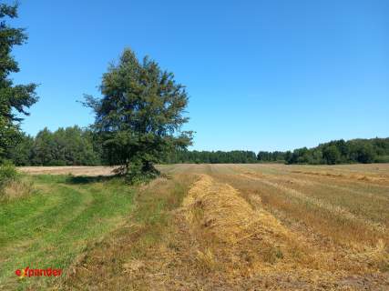 BLINNO DZIAŁKA ROLNA 1,32 HA