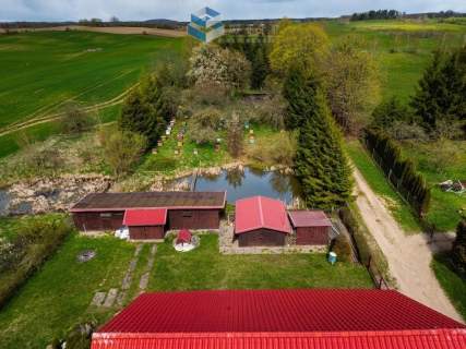 Siedlisko z duszą staw, las i własna pasieka