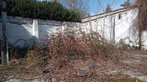 Dom do remontu / działka 735m2 /widok na Odrę/Karłowice