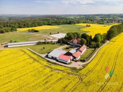 Dworek po renowacji, stadnina koni, duży potencjał