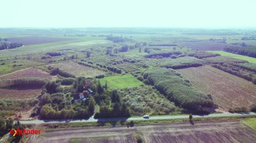 Grunty rolne Stankowo, aktywne plantacje wierzby