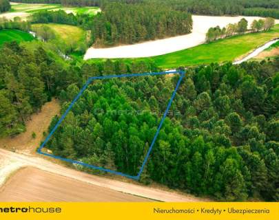 Działka siedliskowa z linią brzegową, przy lesie