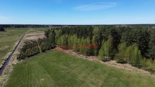 Działka rolna 1,67 ha Grodziec, gmina Ozimek