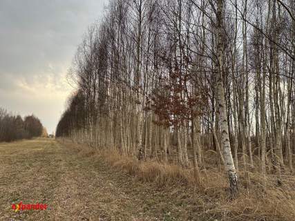 Na sprzedaż atrakcyjna działka inwestycyjna z WZ