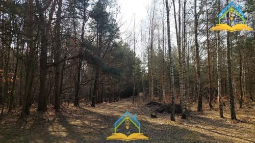 Działka budowlana na sprzedaż, 1250 m2, Korzeniówka