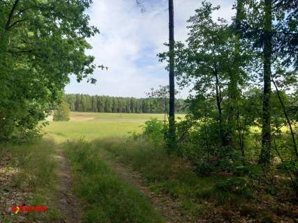 DZIAŁKA Z WARUNKAMI ZAB. 5,9108 HA ORAZ LAS