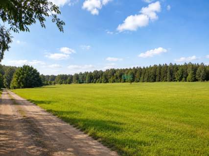 900 m2 budowlana, widok na las