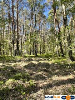 Działki na sprzedaż   Ciemne k. Radzymina