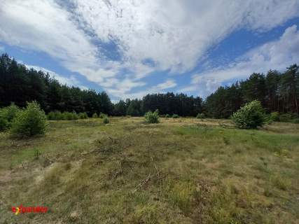 DZIAŁKA ROLNA Z MOŻL. W.Z. 4020 M2 ŚCIANA LASU