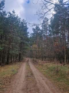 PIĘKNY, FUNKCJONALNY DOM MŁYNIEC II, DZIAŁKA 3100