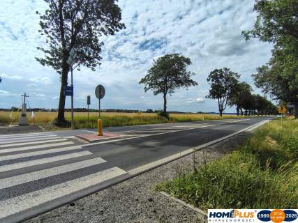 Działka z WZ 4 domy blisko Narwi 35km od Warszawy