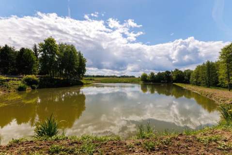 BESTWINA Działak budowlano-usługowa