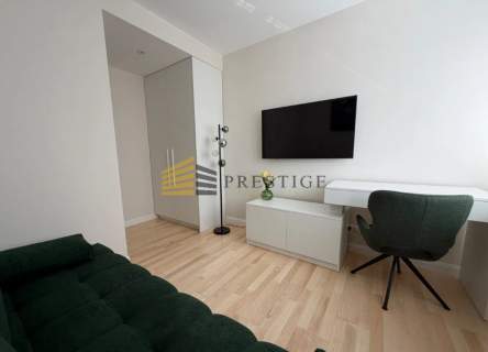 Luxury apartment in the city center