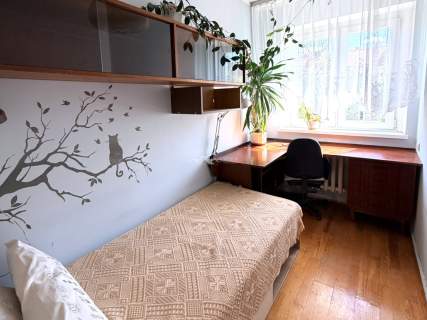 Widok na zieleń/centrum/3 pok./super komunikacja