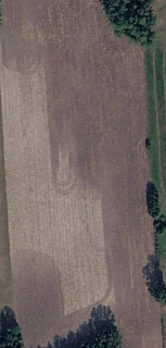 Ziemia rolna 3 ha koło Strykowa Łódzkie