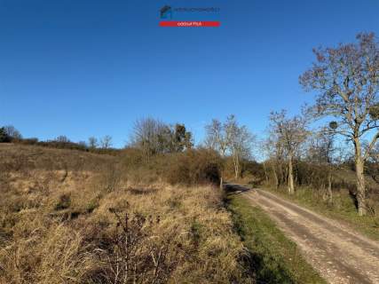 Działka rolna na sprzedaż, 7539 m2, Miasteczko Krajeńskie