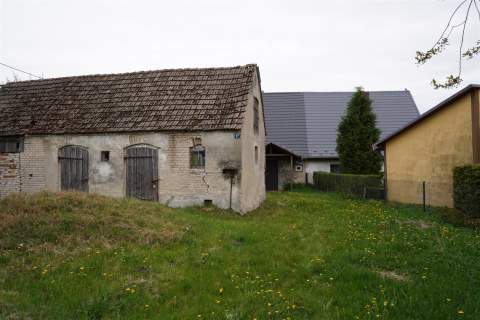 POŁOWA BLIŹNIAKA WIELAWINO
