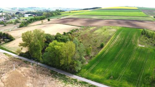 Działka rolna 1,357ha. Radziemice, niedaleko gminy