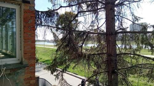 Dom do remontu / działka 735m2 /widok na Odrę/Karłowice