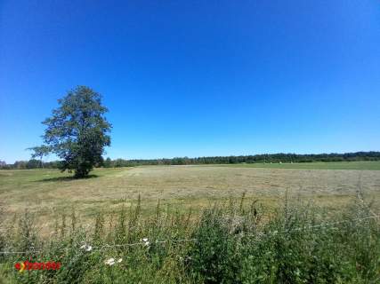 DZIAŁKA ROLNA BLINNO 1,63 HA SPOKOJNA OKOLICA