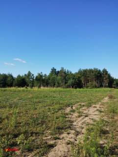 BLINNO DZIAŁKA ROLNA BEZ MPZP 1,5 HA