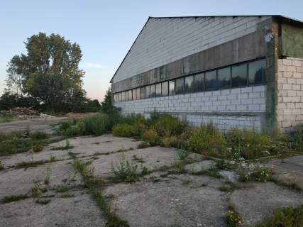 Syndyk sprzeda Zorganizowaną cześć przedsiębiorstwa
