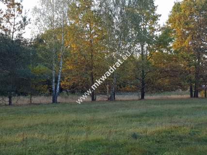  Urokliwa Działka Makówka 1600m 
