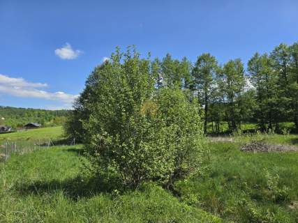 Działka budowlana na sprzedaż, 2809 m2, Sosnówka