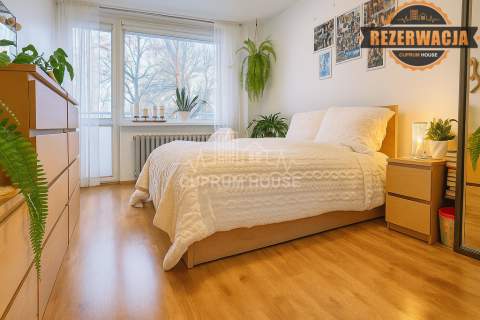3 pokoje, Kopernik, do wprowadzenia