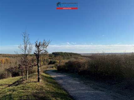 Działka rolna na sprzedaż, 7539 m2, Miasteczko Krajeńskie
