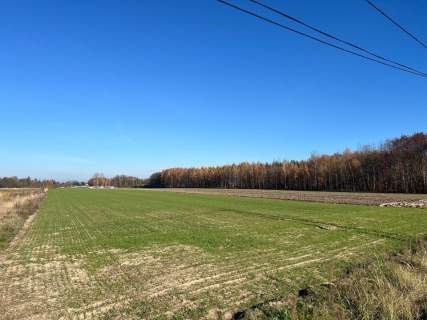 DZIAŁKA 1450 M2- WOLA GUTOWSKA