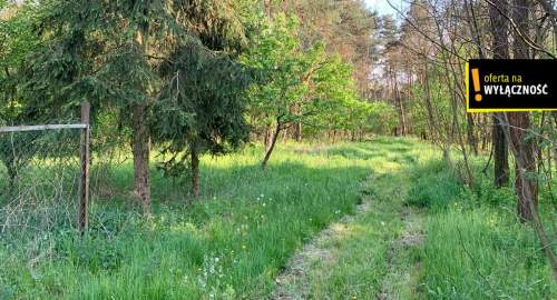 Dom z dużą działką, stodołą i wejściem do lasu