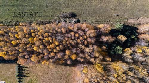 Działka budowlana w Kaleń Towarzystwo