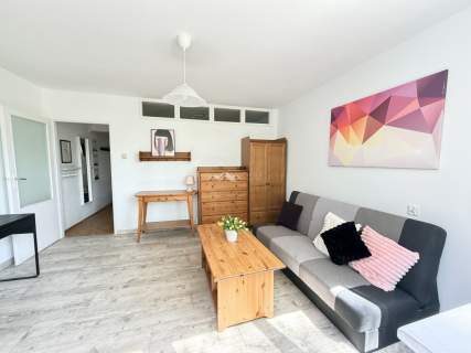 2 pokoje w centrum/od zaraz/6mcy lub rok