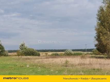 Działka na sprzedaż, 3700 m2, Borowno