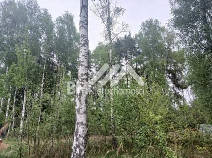 1502m2 - Mościska/Adamowizna na dwulokalówkę
