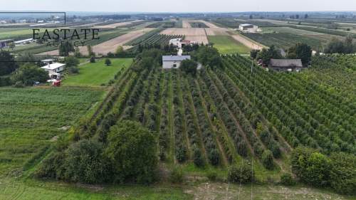 Na sprzedaż działka 0,9 ha z domem 280 m Świdno