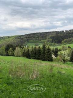 Działka/Zagórze Śląskie/okolice